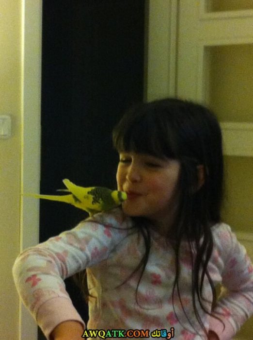 مليسا جيز سينجيز وعصفورتها