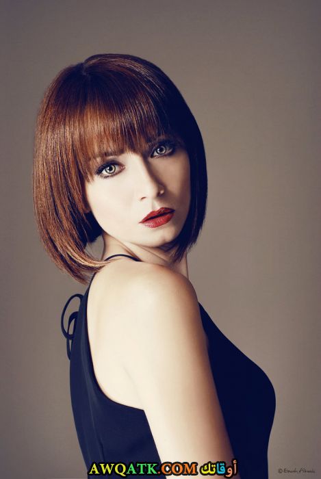 باشاك دشمان