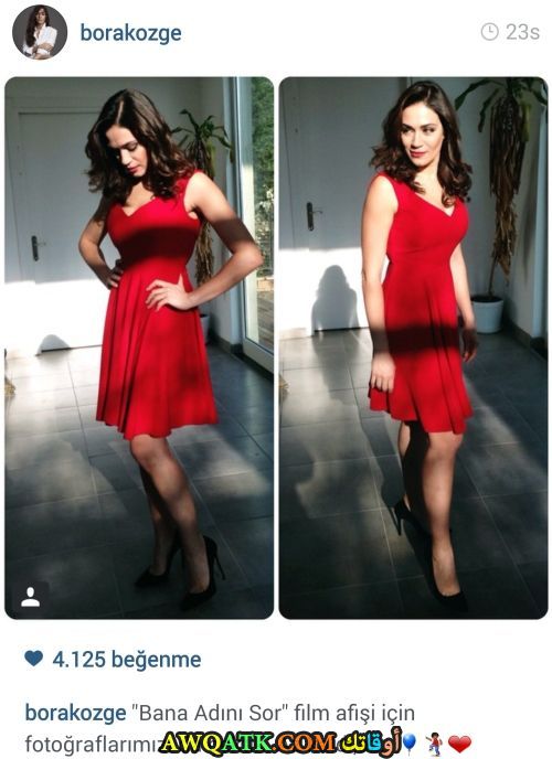 صورة مجمعة جميلة للفنانة التركية أوزغي بوراك