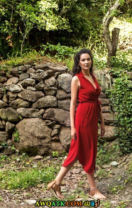 بوستر جولسيم علي