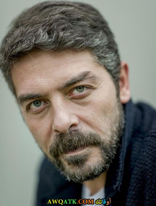 صورة للفنان سنان توزجو