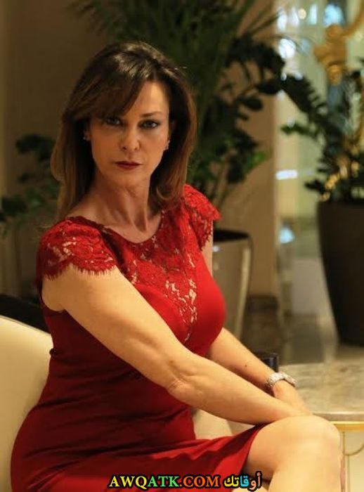 ايبيك تينولجاي