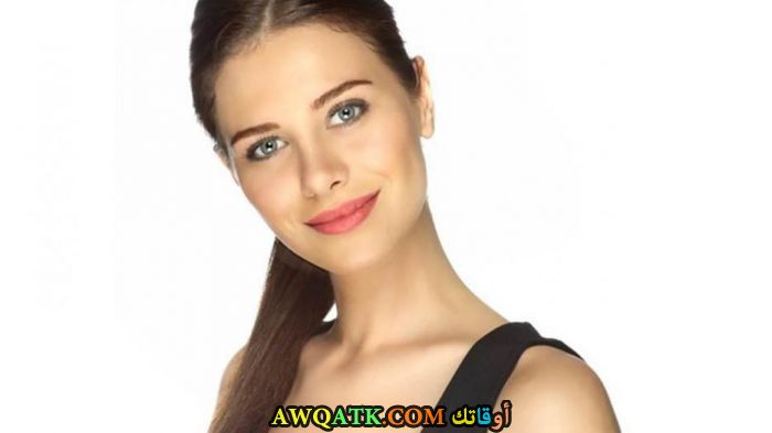 جوزدي موكافيلات