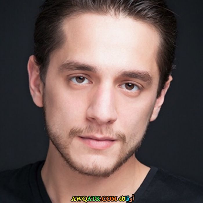 صورة للفنان سرجان بادور