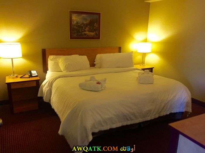 غرفة نو باللون الأصفر روعة 