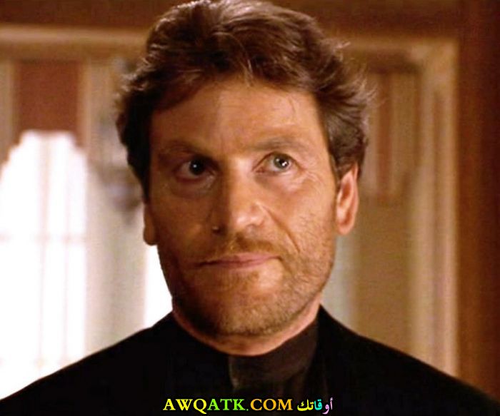 تشيكي كاريو