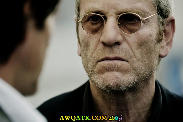 صورة الفنان التركي تشيكي كاريو داخل عمل