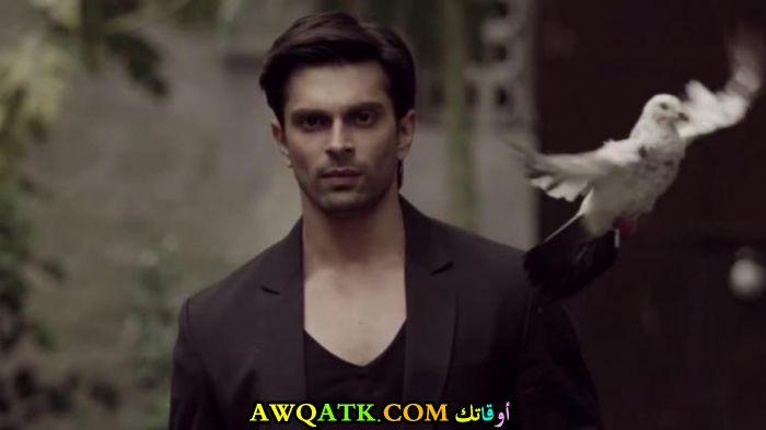 صورة للفنان كاران سينغ غروفر