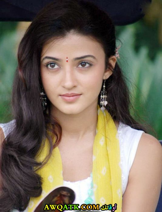 سوهاسي دهامي