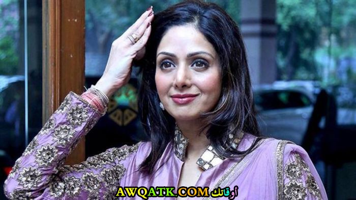 أحدث صورة للفنانة الهندية سريديفي