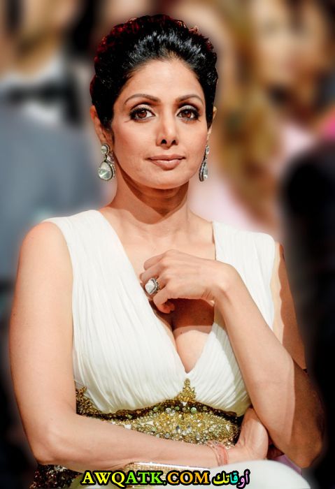 صورة للفنانة سريديفي