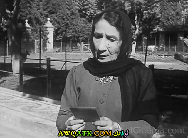 جراسيا قاصين