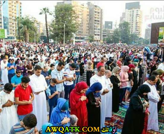 صلاة مختلطة في مصر