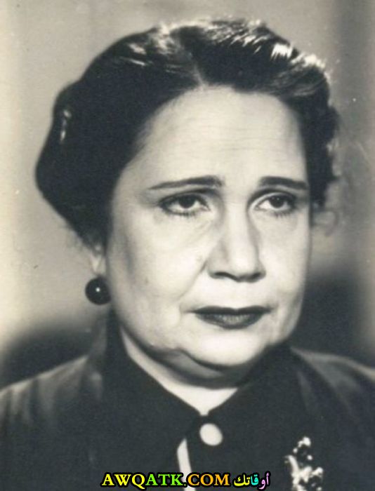 علوية جميل