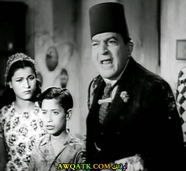 نادية السبع