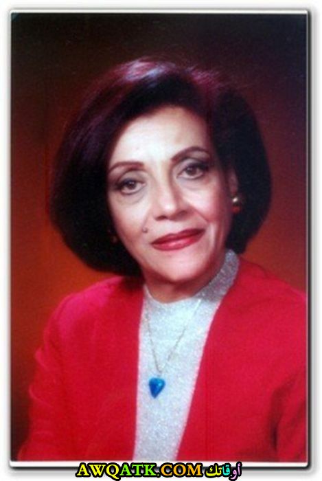 بوستر الفنانة المصرية نهير أمين