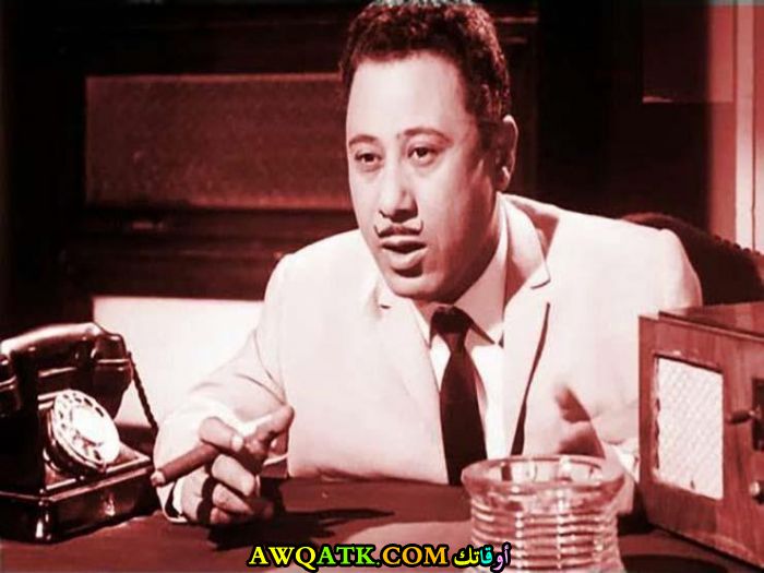 صورة رائعة للفنان إبراهيم سعفان 