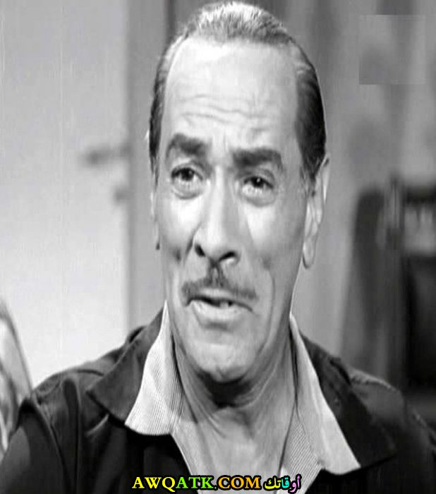 لعشاق الفنان إستفان روستي صورة جميلة