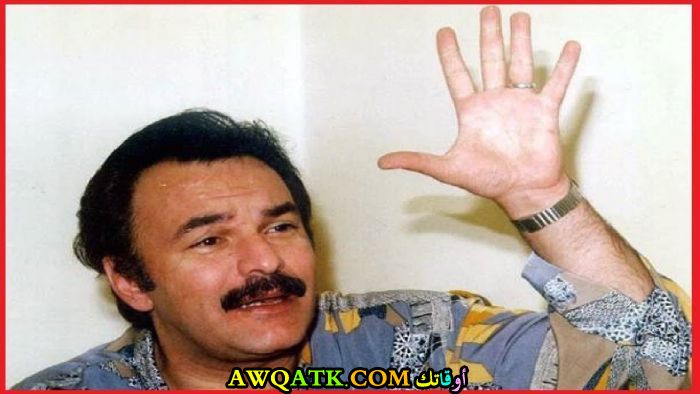 النجم المصري حاتم ذو الفقار