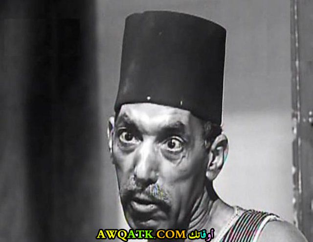 حسن البارودي