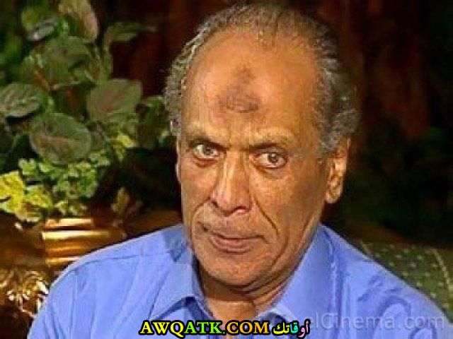 الفنان حسين الشربيني