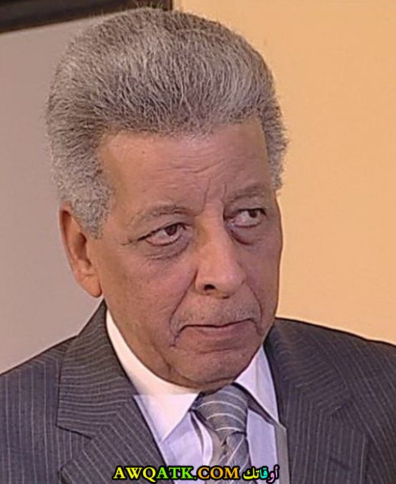 الفنان خليل مرسي 