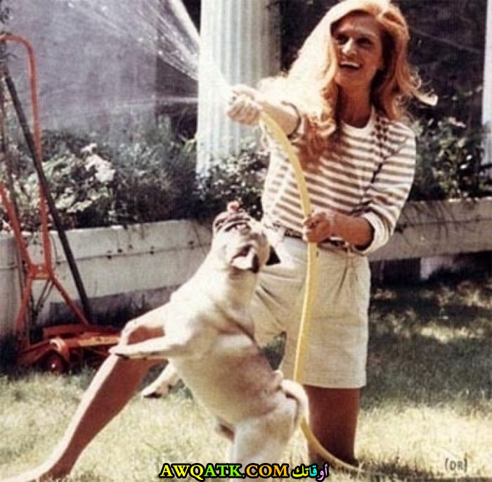 صورة جميلة للفنانة داليدا