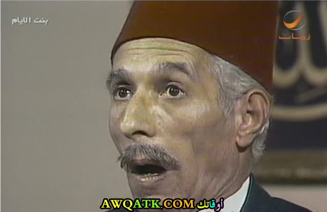 رشدي المهدي