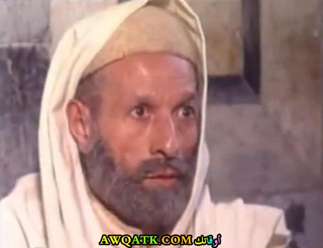 صورة جميلة للفنان الجميل رشدي المهدي