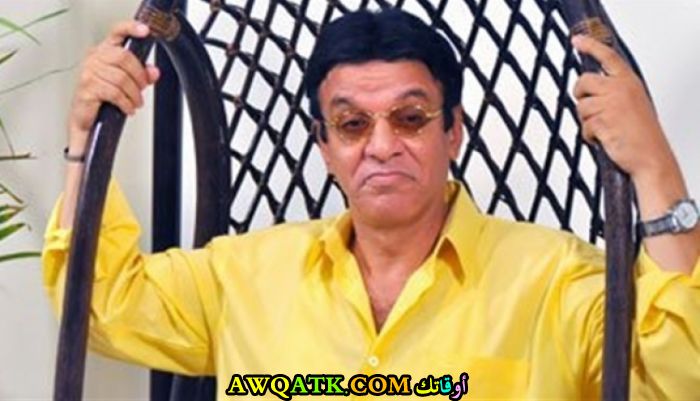 الفنان رضا حامد