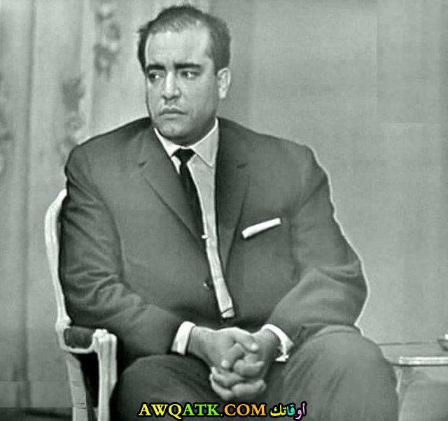 زكريا موافي