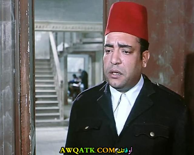 صورة جميلة للفنان الجميل زكريا موافي 
