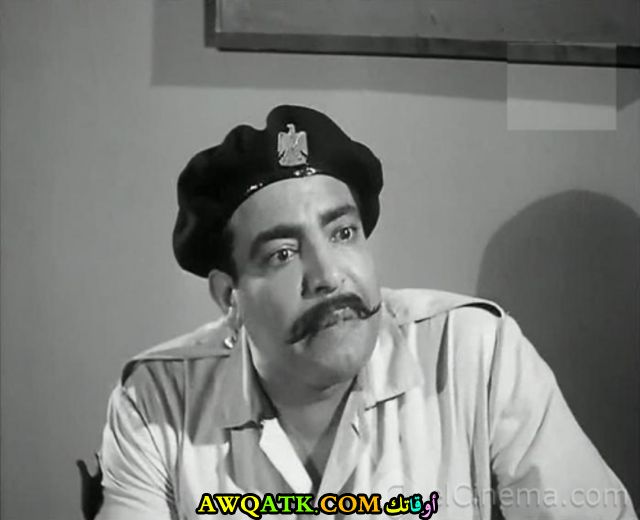 الفنان زكريا موافي 