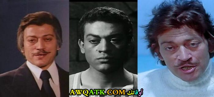 صورة مجمعة للفنان المصري زين العشماوي