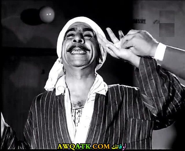 سعيد أبو بكر