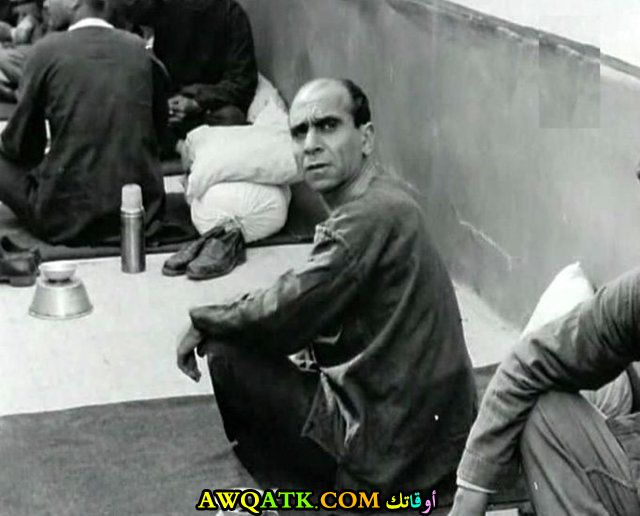 صورة للفنان سعيد أبو بكر