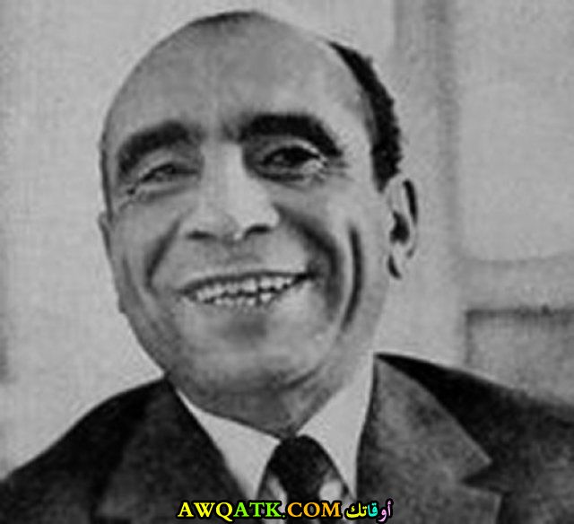 الفنان سعيد أبو بكر 