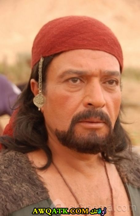 سعيد صديق