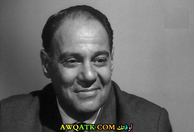 صورة رائعة للفنان سلامة إلياس