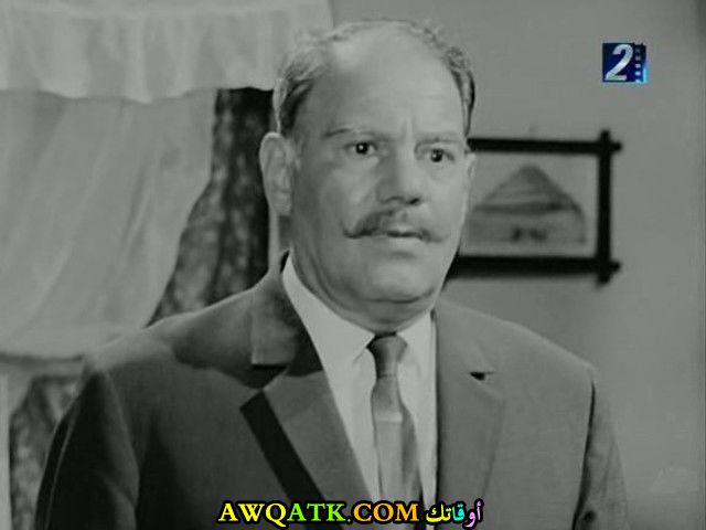 صورة للفنان سلامة إلياس