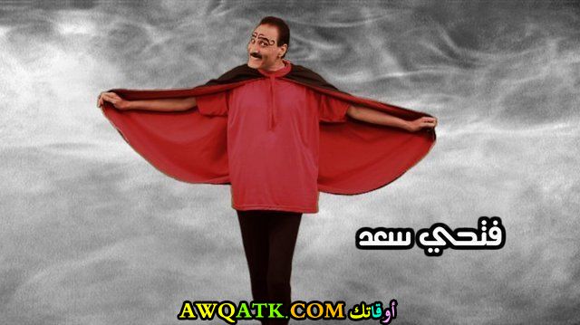 فتحي سعد