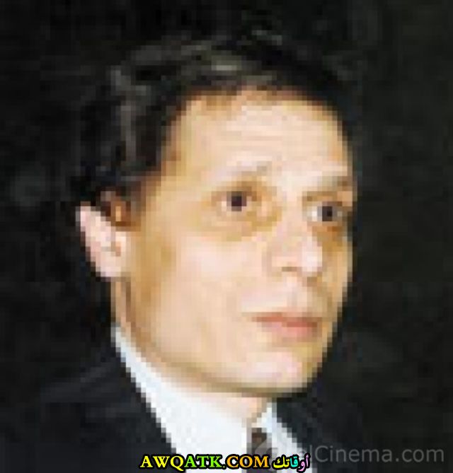 صورة للفنان نصر حماد