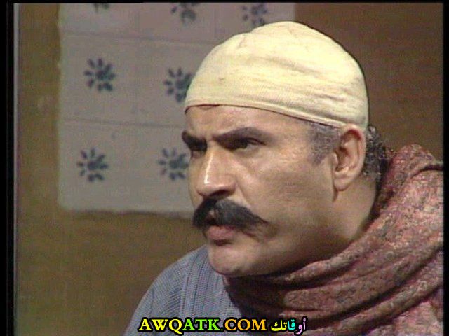 سمير ولي الدين
