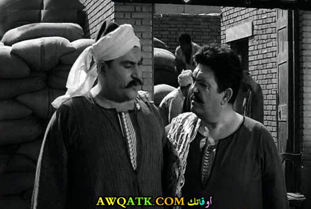 صورة رائعة للفنان سمير ولي الدين 