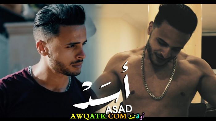 شادي سرور