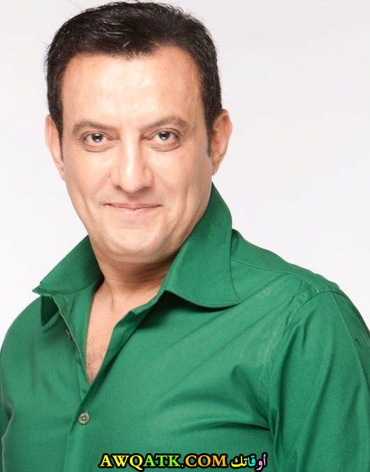 طارق علام
