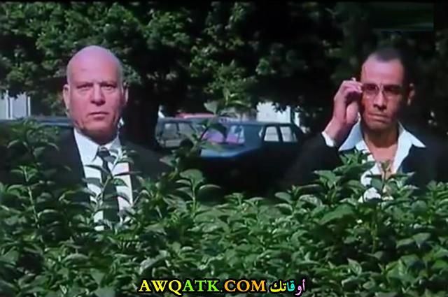 صورة جميلة للفنان عادل هلال