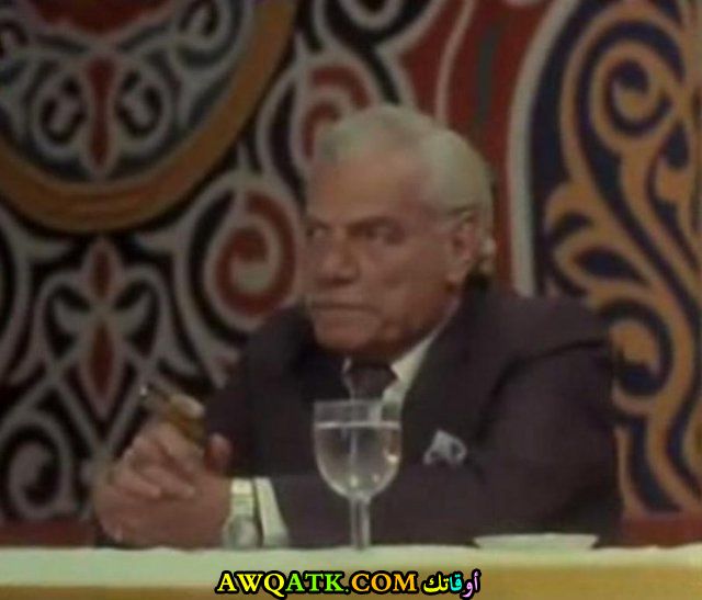 عبد الغني ناصر