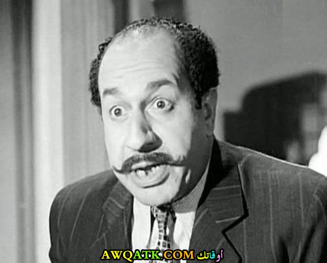 الفنان عبد المنعم إسماعيل