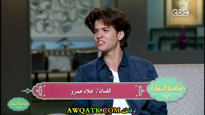 صورة للفنان علاء عمرو